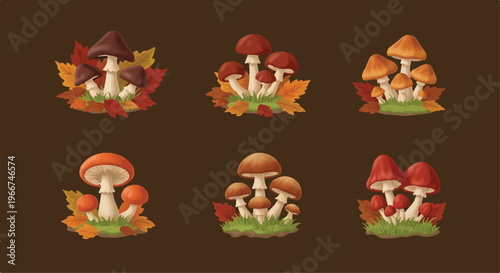 Autumn mushroom vector set, 6 forest fungi illustrations with fall leaves, rustic woodland mushroom collection for seasonal design and botanical decor
