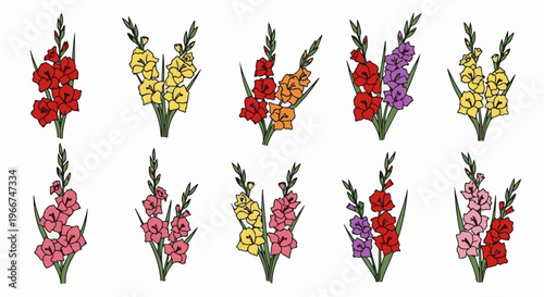 Ten bouquets of gladiolus flowers in various vibrant colors and arrangements