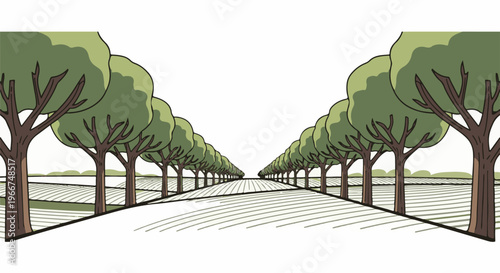 A symmetrical avenue of trees leads towards a distant horizon