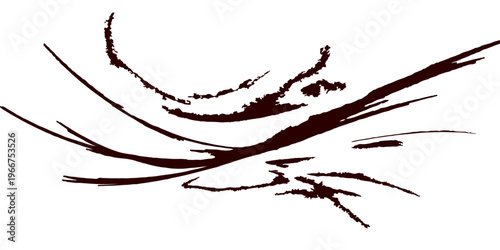 black spider with web in nature branches vector illustration isolated on white background