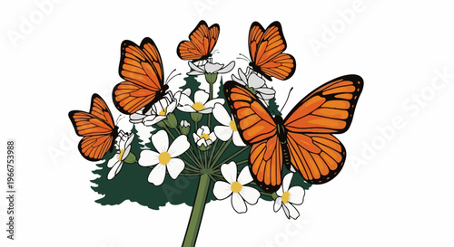 Orange monarch butterflies flutter around delicate white wildflowers on green stem