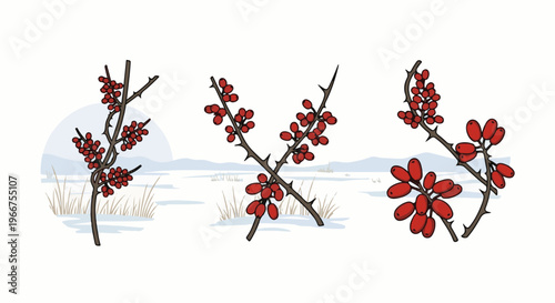 Three thorny branches with clusters of red berries in a snowy winter landscape