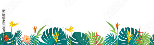 Caribbean background seamless border. Vector tropical beach jungle leaves bg. Brazilian rainforest green plant backdrop. Hawaiian tree foliage. Floral paradise pattern. Exotic island palm banner frame