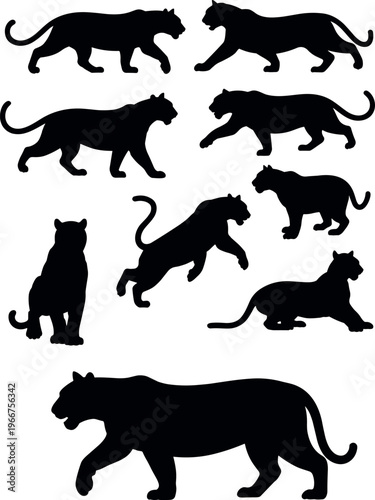 Collection of big cat silhouettes including tiger and panther in walking, jumping, and resting poses isolated on clean background