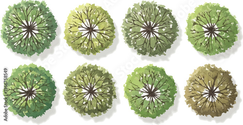Top view tree set for architectural site plans, green landscape plant collection in 8 variations, overhead garden vegetation vector icons