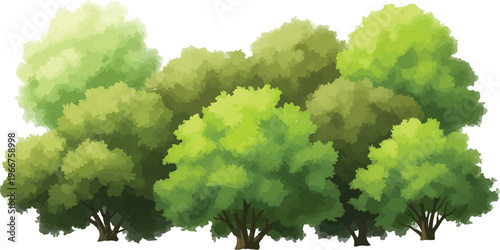 Watercolor green trees and lush bushes, hand drawn garden foliage vector, summer forest vegetation for landscape design and architectural rendering