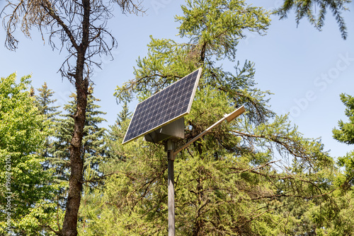 Solar-powered lantern in the forest