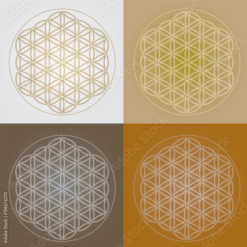 4 Fleurs de Vie sur Fond Or Argent Carré Harmonie Energie - Vecteur