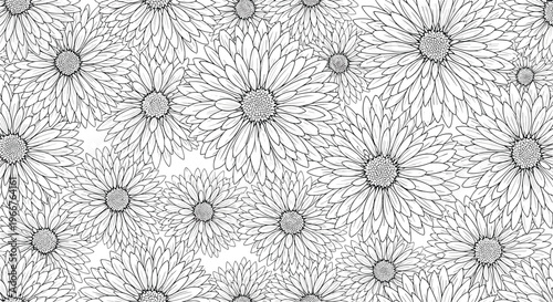 Detailed black and white seamless floral pattern with hand drawn daisy flowers covering the entire surface area.