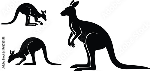Kangaroo silhouettes collection, flat vector illustration, Australian wildlife animal set, jumping and standing poses isolated on white background design