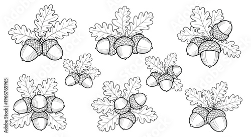 Hand drawn set of acorns with oak leaves in various clusters and arrangements for autumn themed decorations and vintage designs.