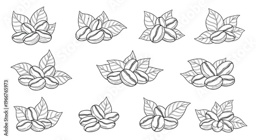 Grid of twelve detailed black and white sketches featuring coffee bean clusters and leaves in a vintage etching style.
