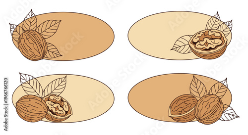 set of oval shaped walnut labels featuring whole and shelled walnuts with leaves in warm brown and beige tones on white background.