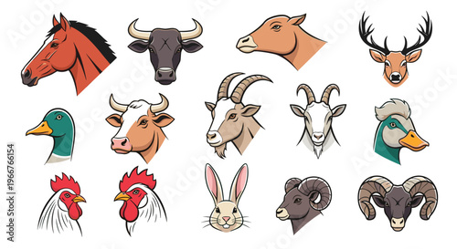 Vector farm animal head illustrations include horse, bull, cow, goat, duck, and rooster portraits for butchery and farm labels.