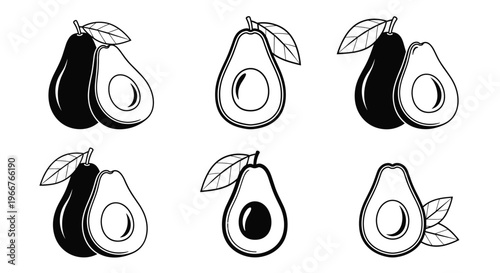 Detailed avocado illustrations show whole fruits and halved versions with seeds in a clean style for healthy food and recipe content.