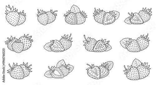 Outline illustrations of fresh strawberries show the fruit in various clusters and cut versions for simple logo and icon designs.