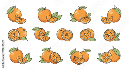 Fresh orange fruit illustrations show whole citrus and cut slices with leaves for juice and healthy food product brand identities.
