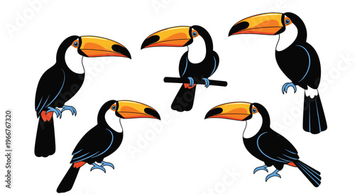 Collection of five colorful toucan birds in various standing and sitting poses on a plain white background for design projects.