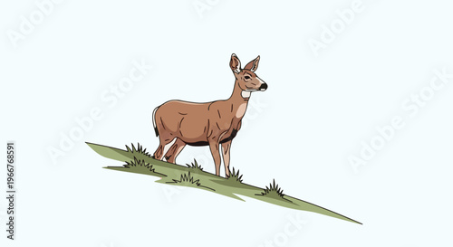 A brown deer stands alert on a grassy hill against a pale background