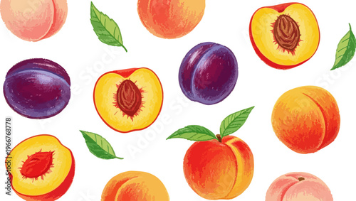 Hand drawn peach and plum fruit vector set, watercolor style summer stone fruit illustrations, organic peaches and purple plums with green leaves