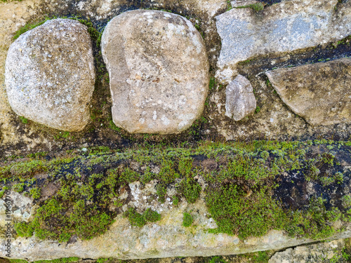 Moss covered stone old wall with lush green growth on textured surface. Rough processed stones of various shapes and sizes, with visible traces of environmental influences. Close-up