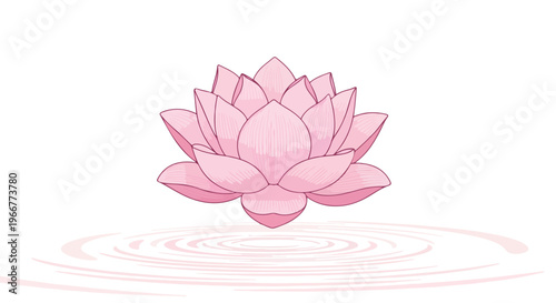 Pink lotus flower vector illustration, blooming water lily floating on pond ripples, zen floral botanical element for yoga meditation and wellness branding