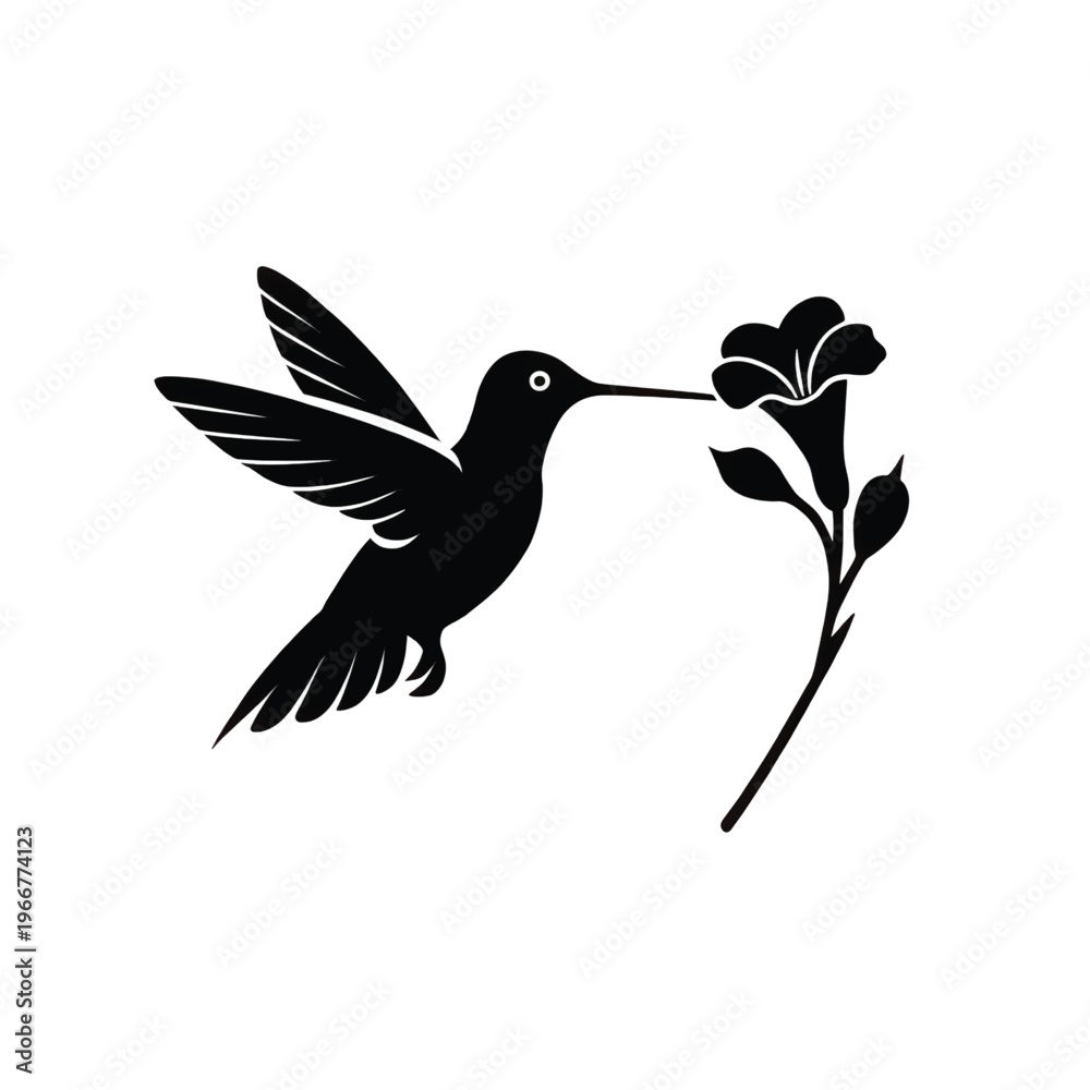 Fototapeta premium Graceful hummingbird feeding on delicate flower in mid-flight
