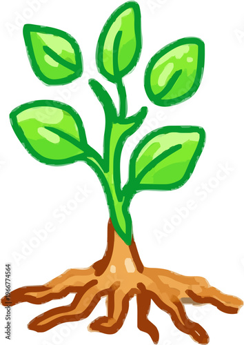 A detailed mandrake root with a tiny face and green leaves emerges from the soil, showcasing thick bold black outlines against a flat earthy and green color palette, isolated on white