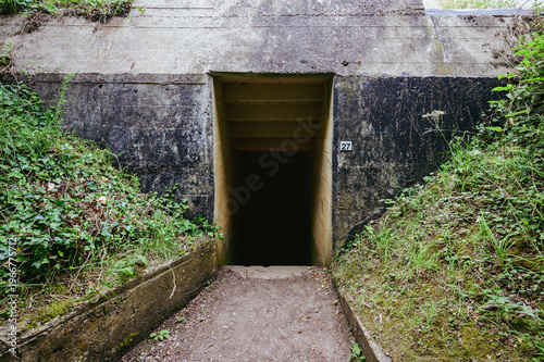 Ivy-covered entrance to a numbered WWII bunker Normandy