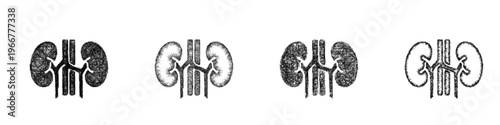 Sketch kidneys icon design set