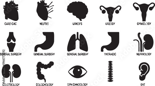 Set of 15 Black Human Organ Medical Icons Vector isolated PNG with Transparent Background