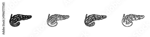 Sketch pancreas icon design set