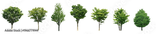 Front View Vector Icons of Trees and Plants for Floor Plan and Architectural Design Projects	