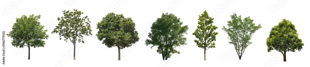 Fototapeta premium Front View Vector Icons of Trees and Plants for Floor Plan and Architectural Design Projects 