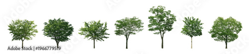 Front View Vector Icons of Trees and Plants for Floor Plan and Architectural Design Projects	