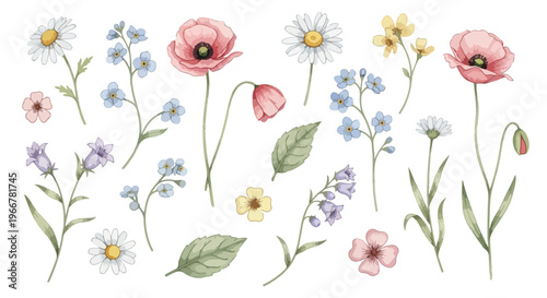 Watercolor wildflower vector set, pastel floral bouquet elements on white, botanical spring flowers for wedding invitation, greeting card design