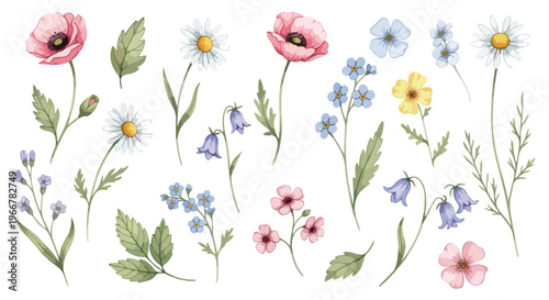 Watercolor wildflower vector set, pink poppy and blue forget me not floral elements, botanical clipart for wedding invites, spring design