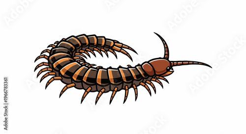 Illustration of a brown and orange segmented creature with many legs