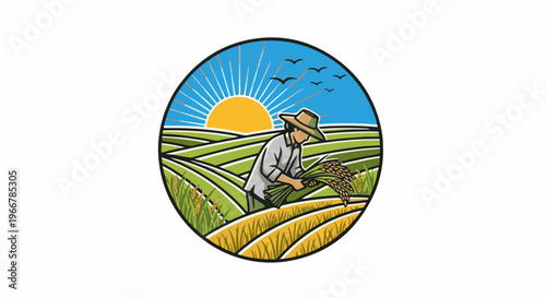 Farmer harvesting rice under a bright sun and birds in the sky