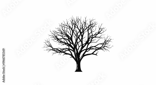 Detailed silhouette of a bare tree with many intricate branches against a white background
