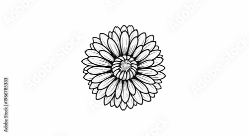 Detailed outline sketch of a single, multi-petaled flower against a white background