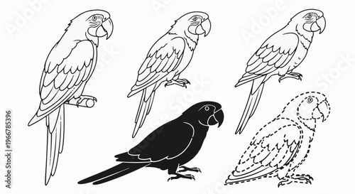 Five parrots in various outlines perched, solid silhouette, and dotted lines