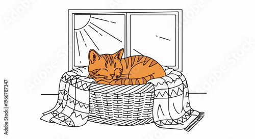 A cozy tabby cat naps in a basket by a sunny window on a checkered blanket