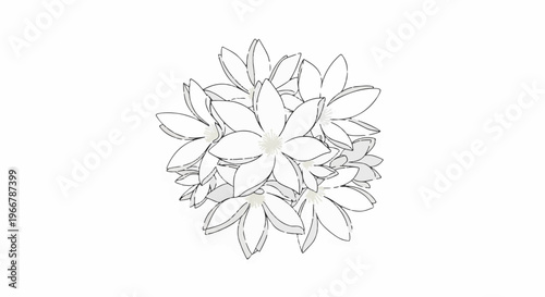 A cluster of delicate white flowers with dark outlines, arranged closely together