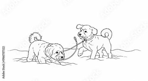 Two fluffy dogs on a leash in a snowy landscape