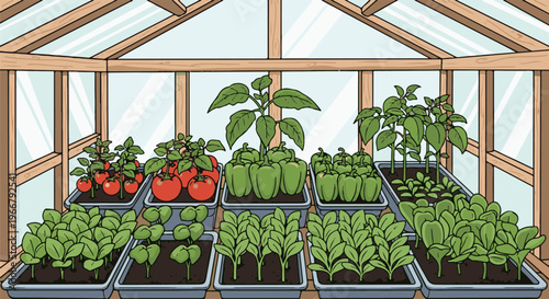 A greenhouse filled with trays of various healthy green plants and ripening red tomatoes