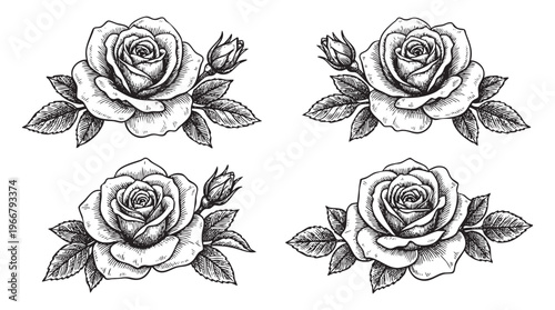 Four black and white hand-drawn of blooming roses with buds and ink engraving line png