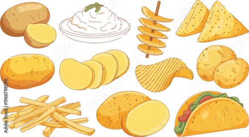 Flat colorful illustration of potato varieties featuring spiral chips, french fries, potato wedges, mashed potatoes, slices, and potato taco in grid layout