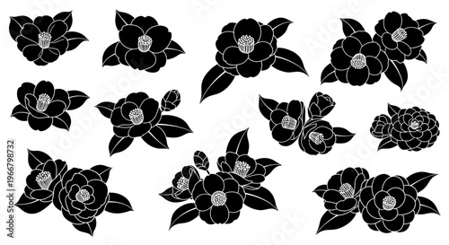Elegant black camellia flower silhouettes collection delicate botanical illustrations with leaves and buds simple vector graphic elements for design and decoration isolated