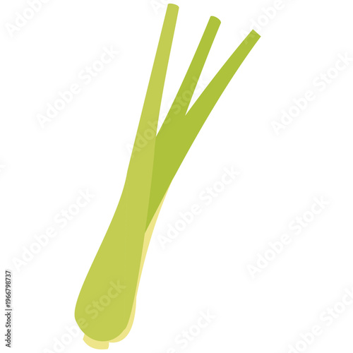 Green leek vegetable, cooking ingredient, healthy food, natural flavor, kitchen essential, fresh produce, aromatic herb, and organic illustration icon.